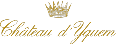 Château d'Yquem, Sauternes Premier Cru - Wines & Spirits - LVMH