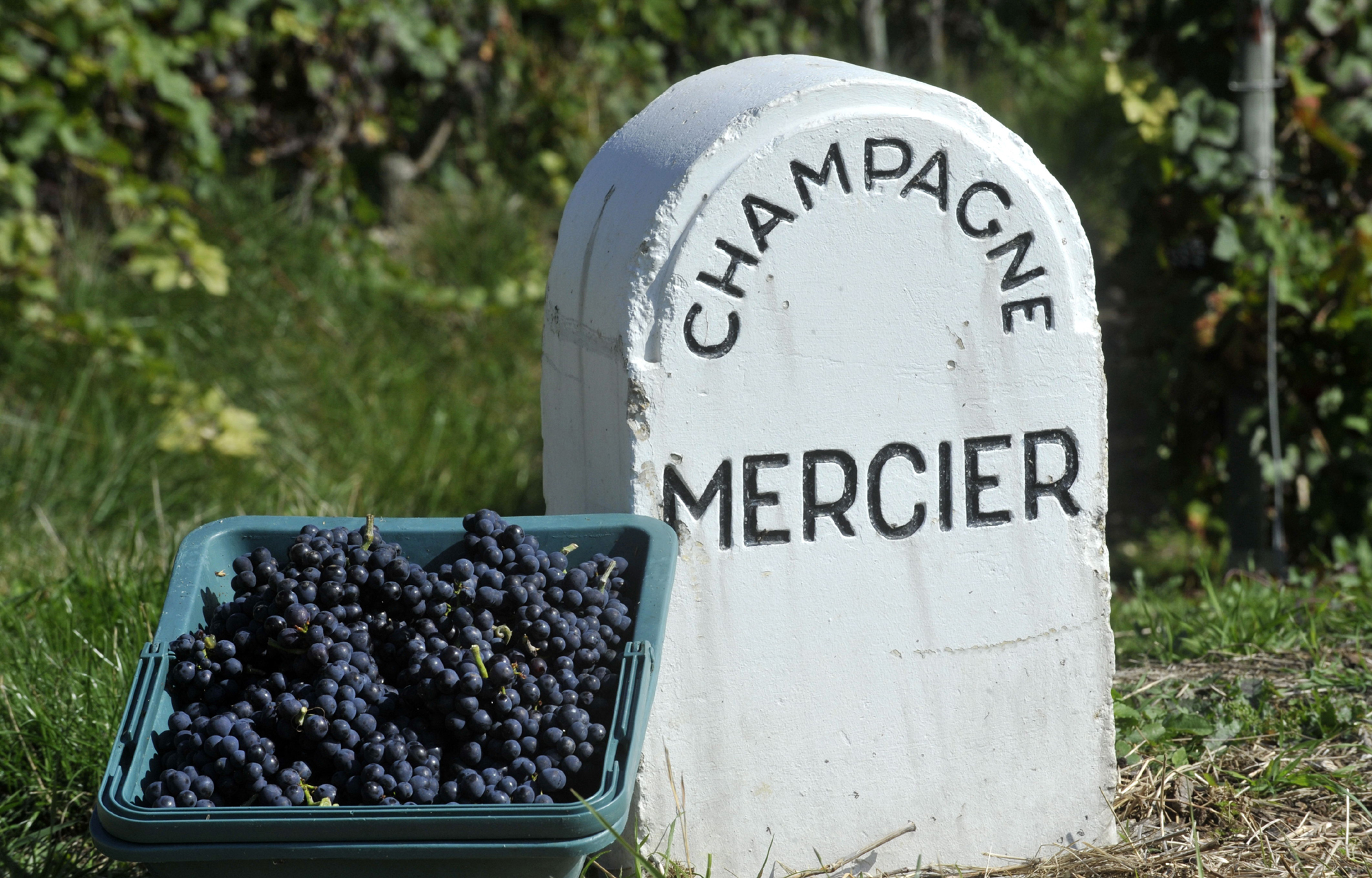 Mercier, champagne, Champagne traditions - Wines & Spirits - LVMH