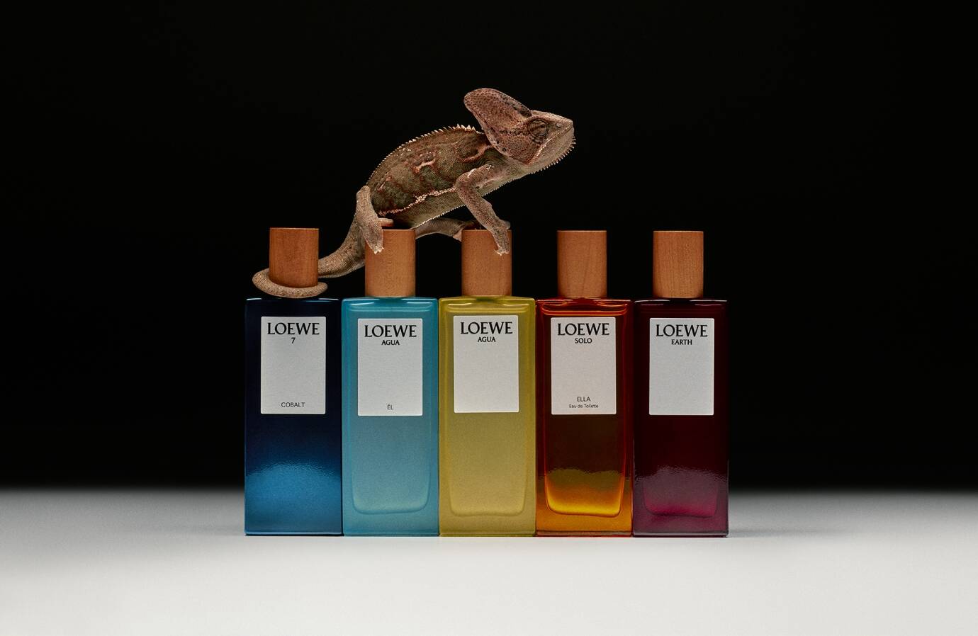 Perfumes Loewe, fragances uniques - Parfums & Cosmétiques - LVMH