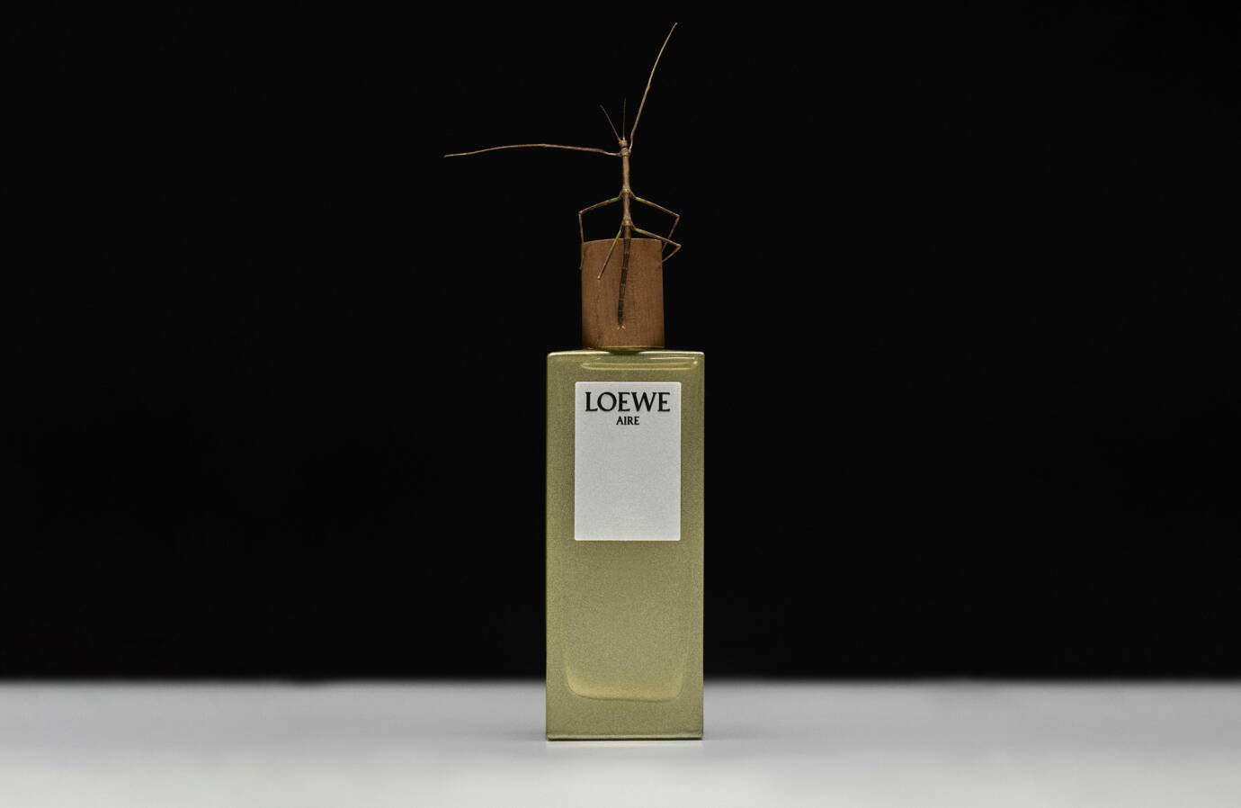 Loewe Launches First Fragrance Under Jonathan Anderson