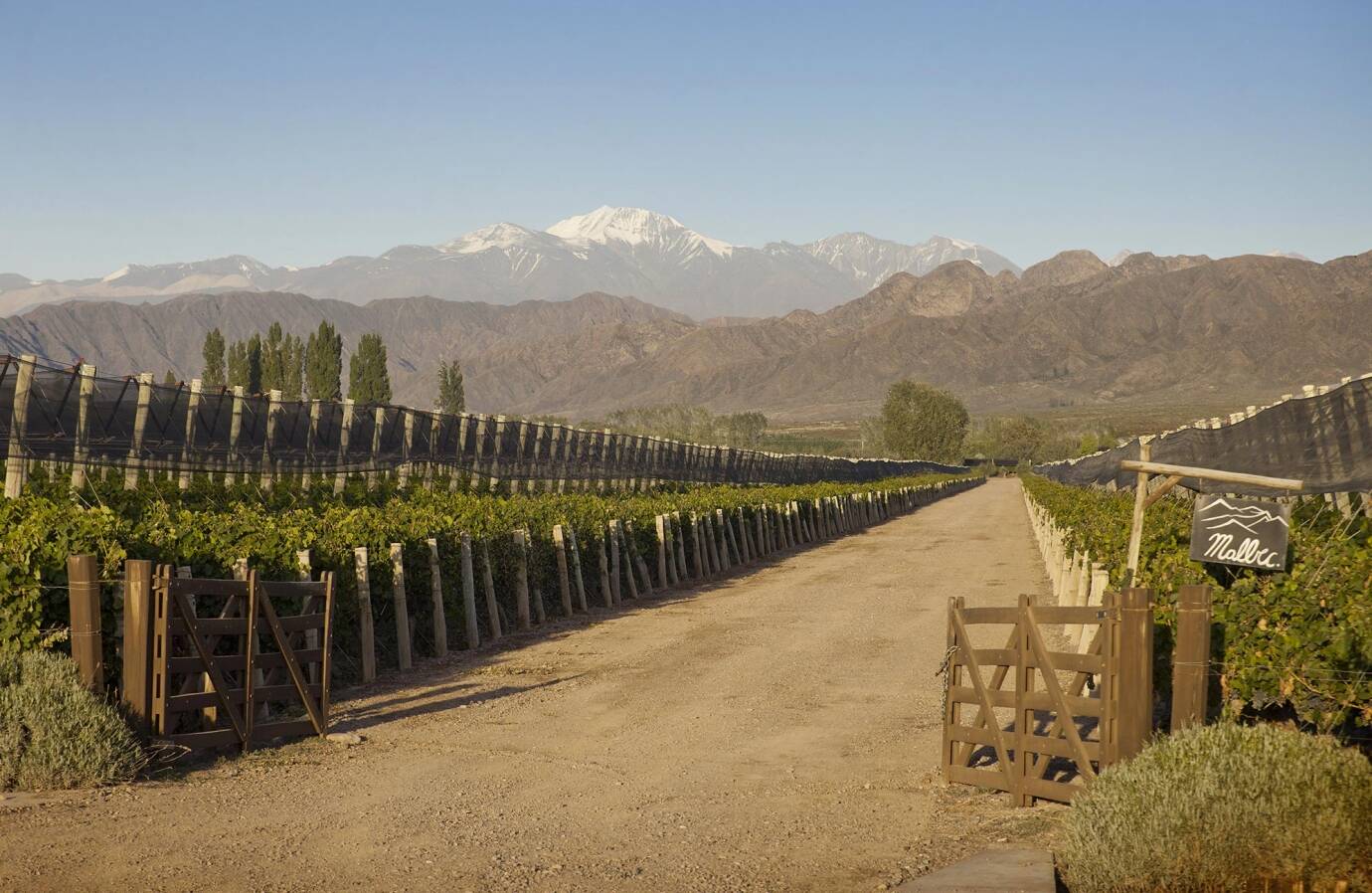 Cheval Des Andes Andes Grand Cru Wines Spirits Lvmh