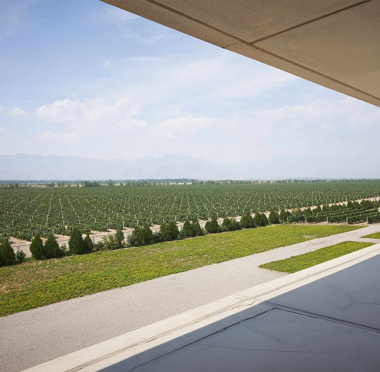 Domaine Chandon: Targeting a niche market - Asian Wine & Spirits - The Silk  Route