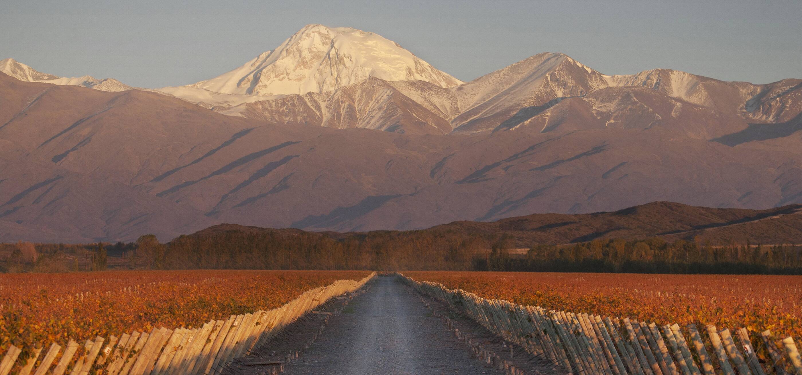 Terrazas De Los Andes Fine Vintages Wines Spirits Lvmh
