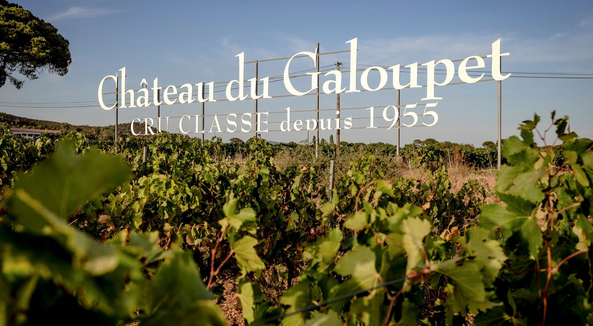 Château Galoupet Wine Selection