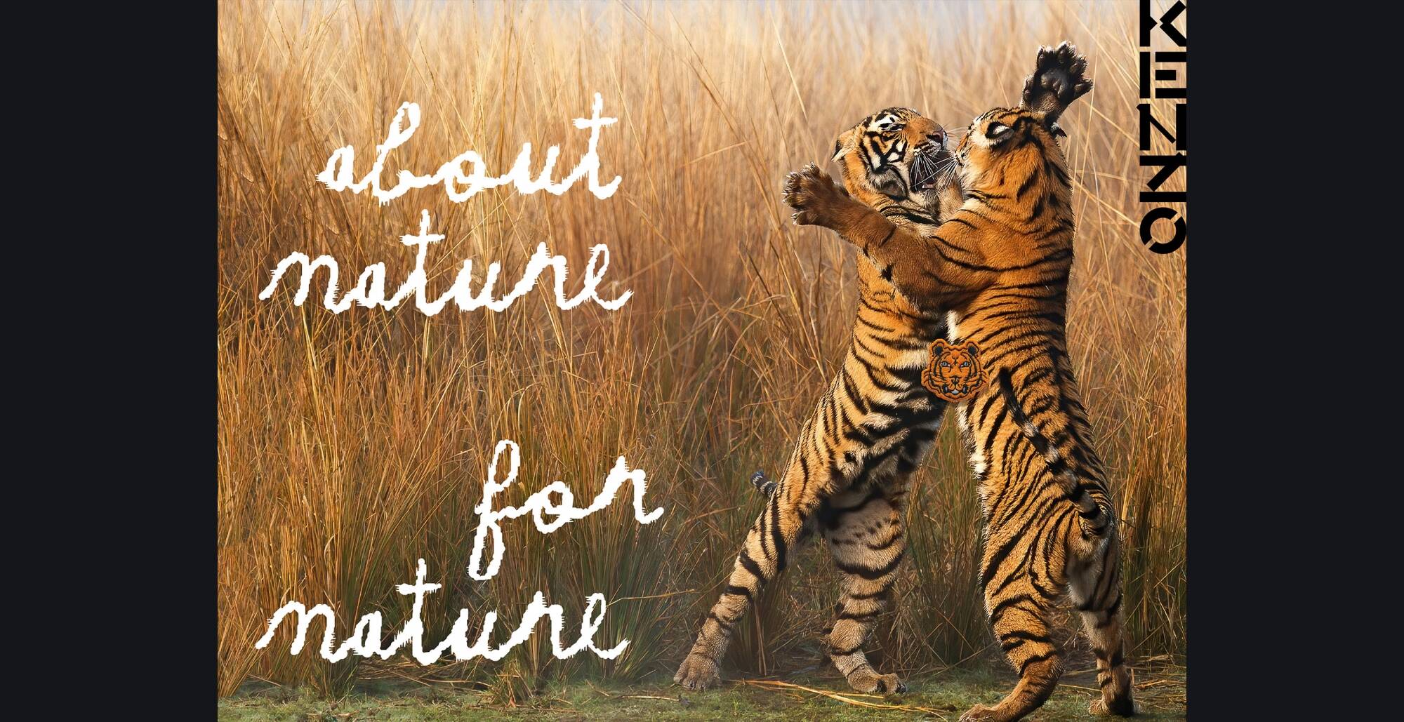 Kenzo partners with World Wide Fund for Nature (WWF) to protect wild tigers  and double their numbers by 2022 - LVMH