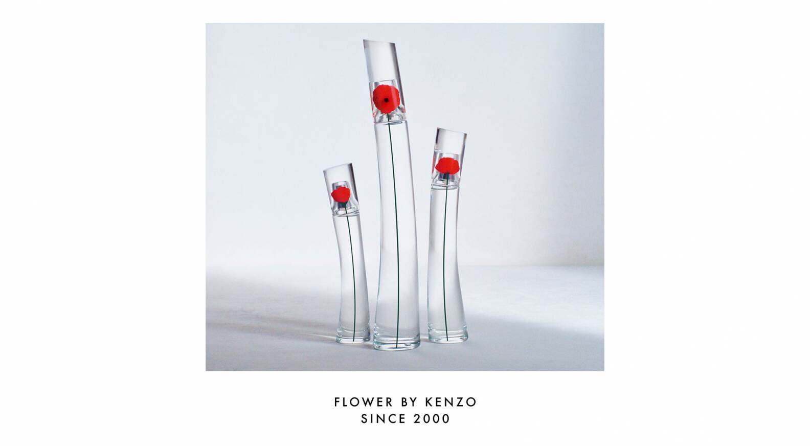 The - Flower By LVMH iconic celebrates Kenzo its anniversary! 20th