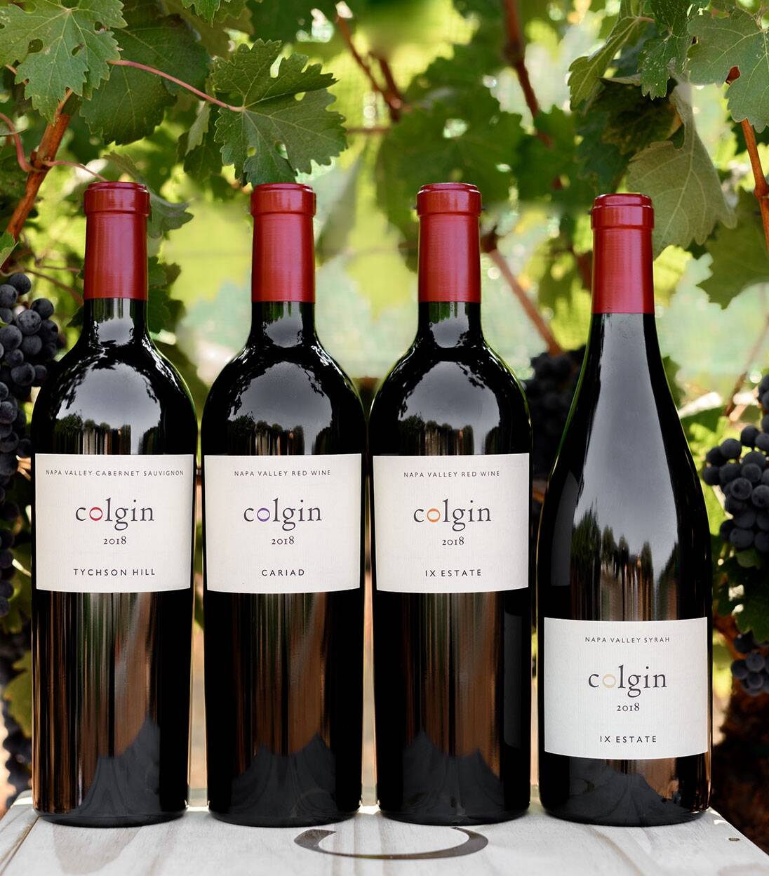 colgin winery visit