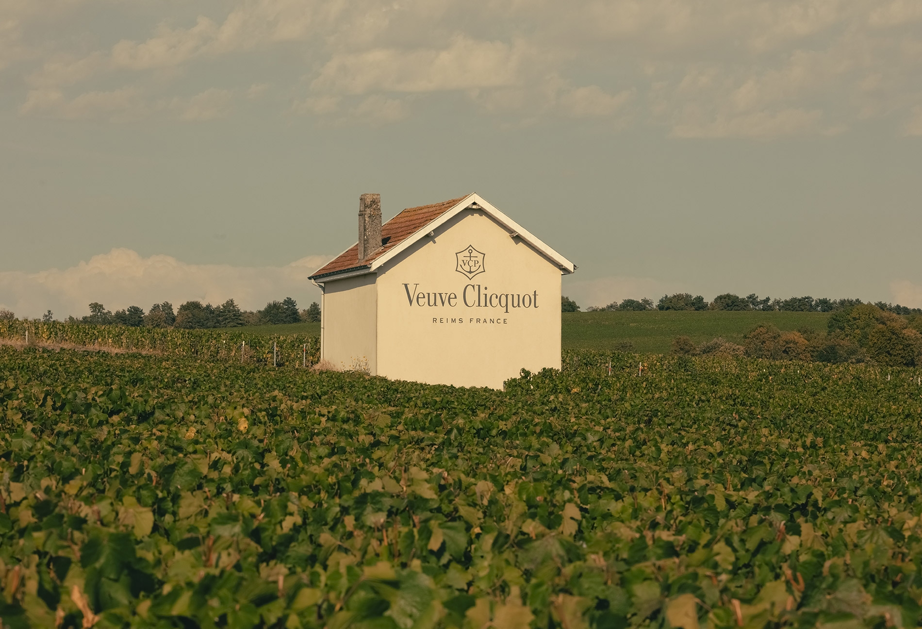 Veuve Clicquot, exceptional champagne - Wines & Spirits – LVMH